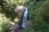 dsc_3102_fs_small.jpg