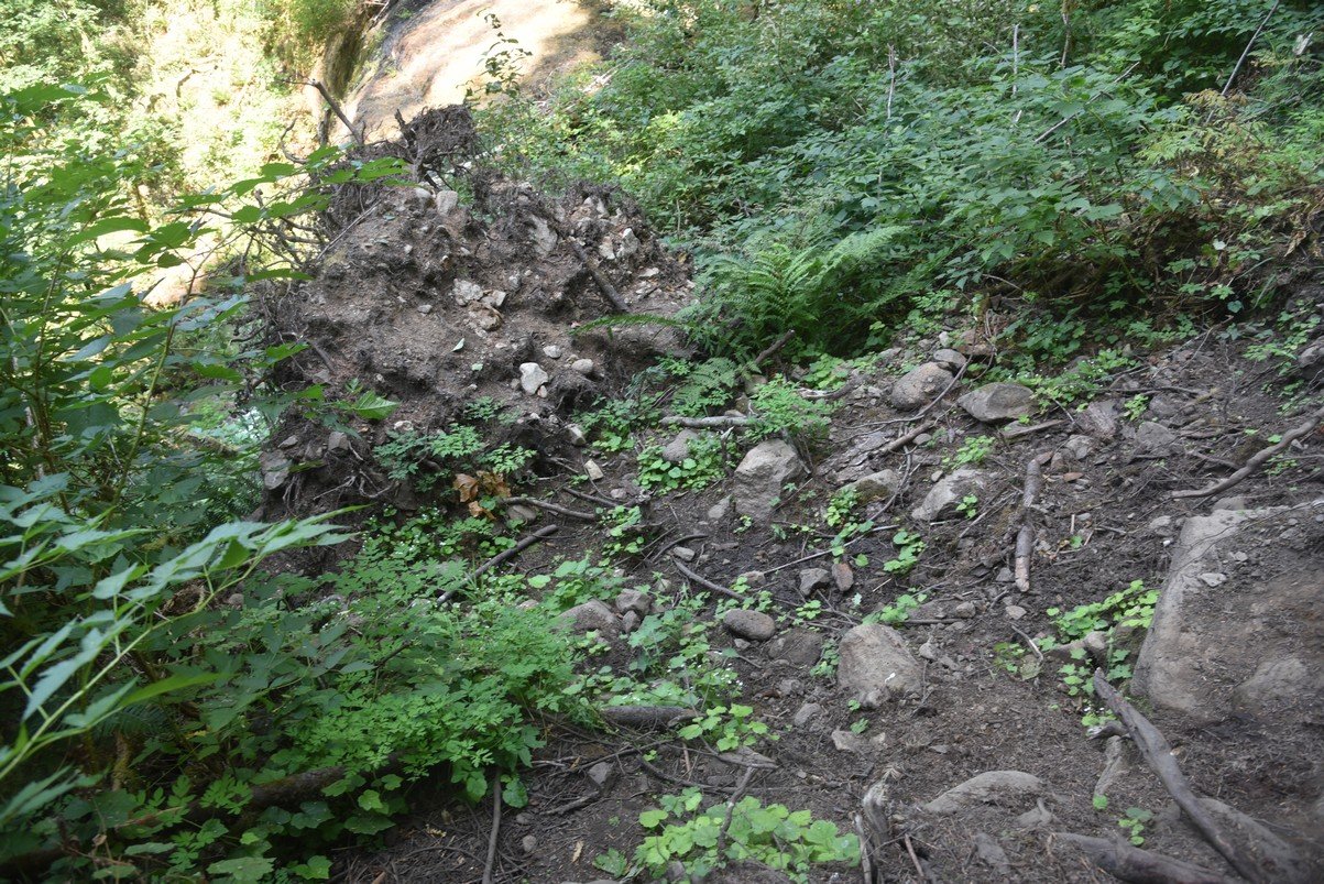 dsc_3105_fs.jpg
