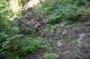 dsc_3105_fs_small.jpg