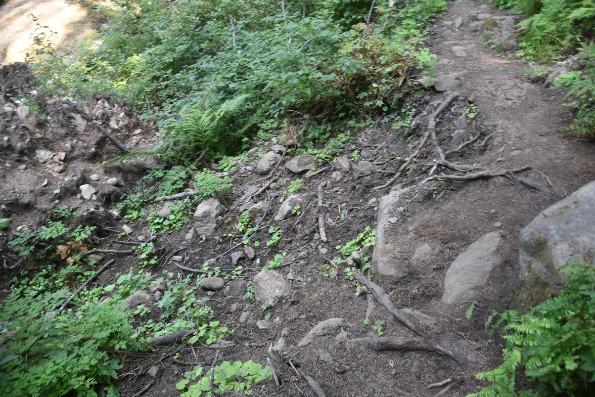 dsc_3106_fs.jpg