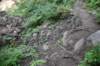 dsc_3106_fs_small.jpg