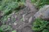 dsc_3107_fs_small.jpg