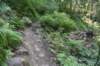 dsc_3108_fs_small.jpg