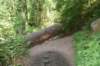 dsc_3109_fs_small.jpg