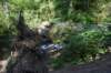 dsc_3110_fs_small.jpg