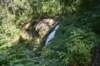 dsc_3118_fs_small.jpg
