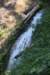 dsc_3119_fs_small.jpg