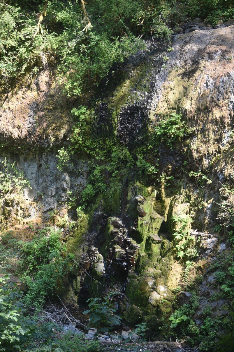 dsc_3121_fs.jpg