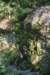 dsc_3121_fs_small.jpg