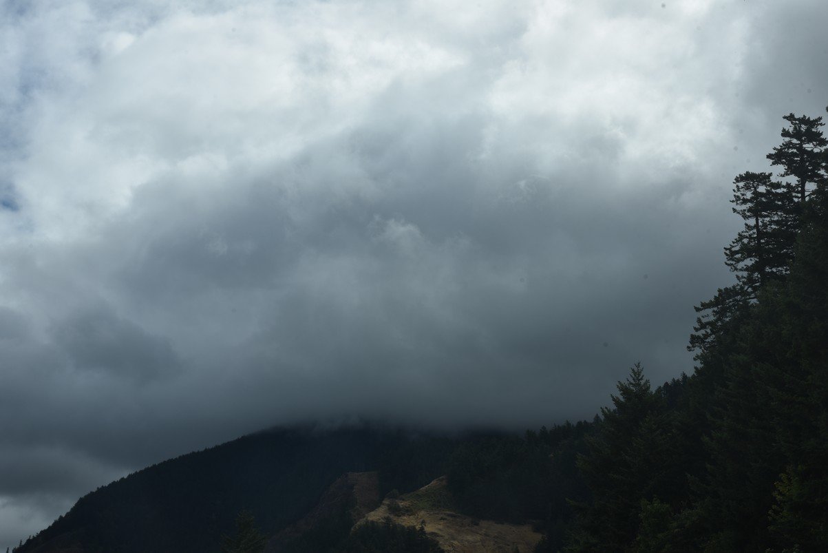 dsc_3179_fs.jpg