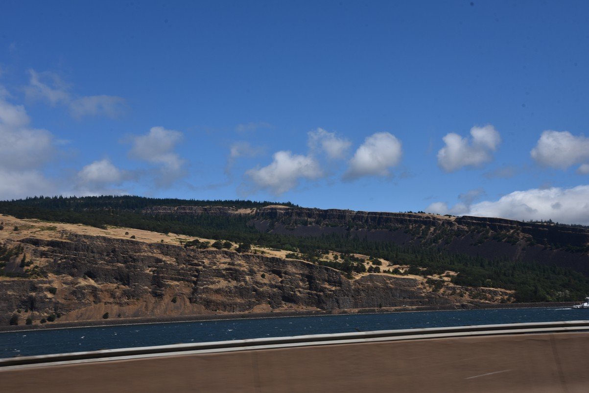 dsc_3205_fs.jpg