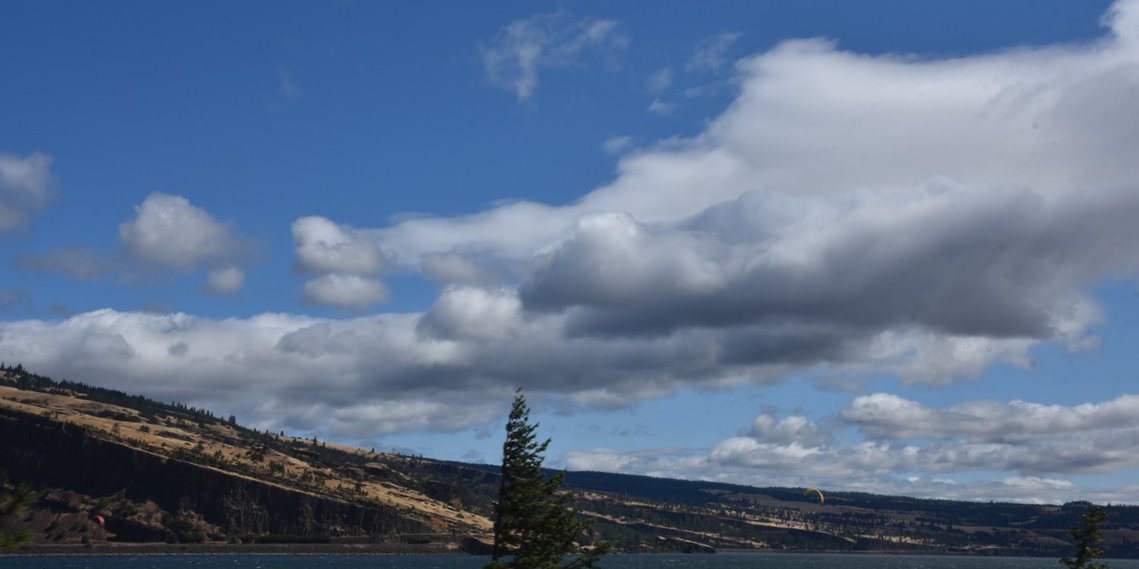 dsc_3208_fs.jpg