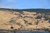 dsc_3217_fs_small.jpg