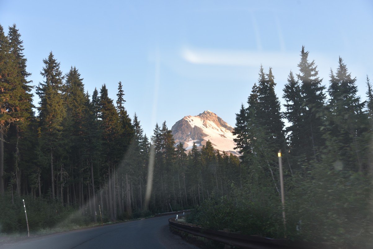 dsc_3280_fs.jpg