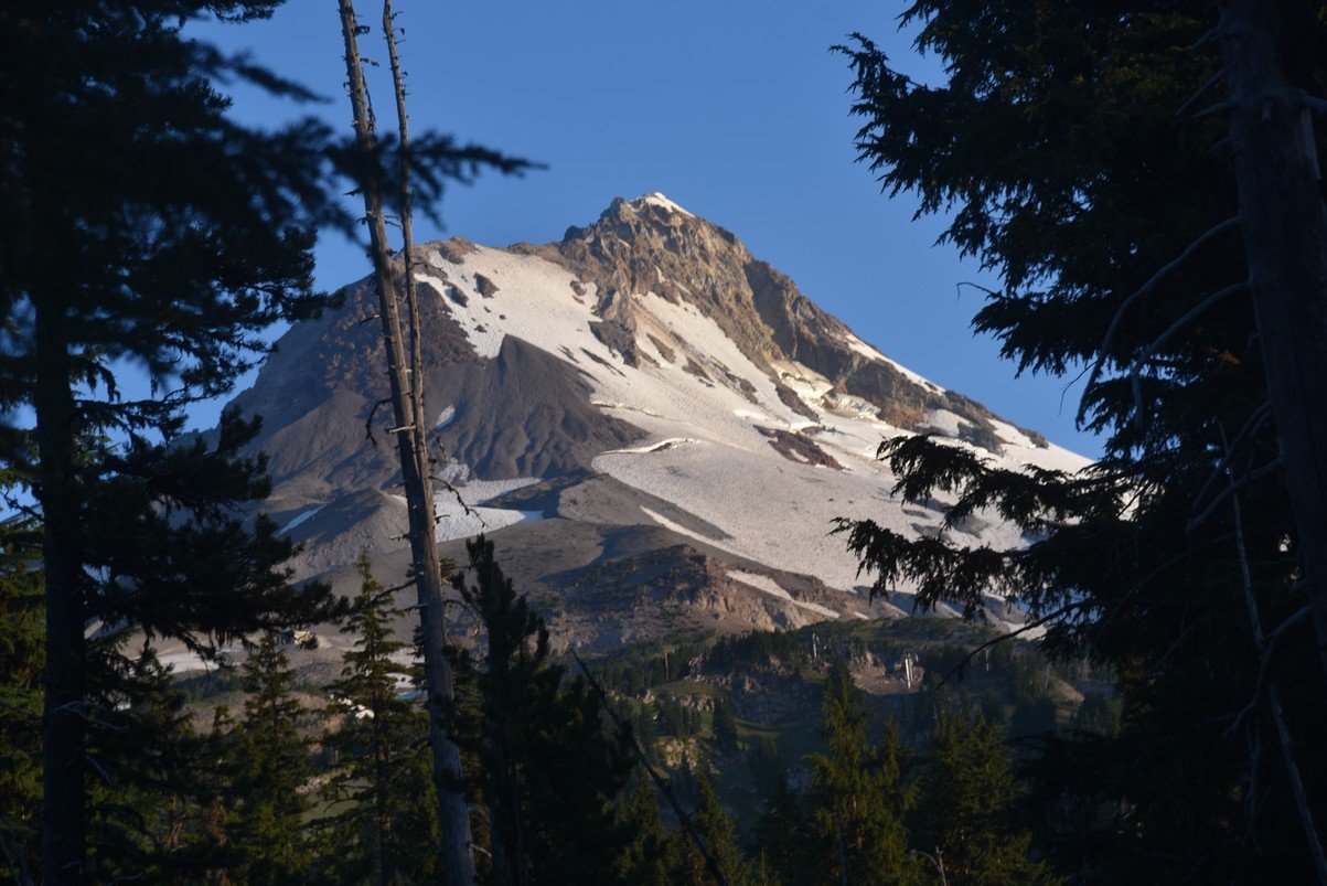 dsc_3293_fs.jpg