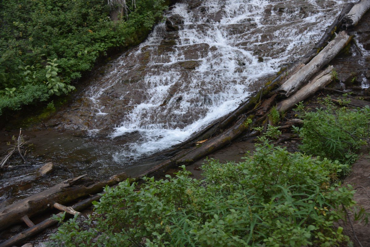 dsc_3316_fs.jpg