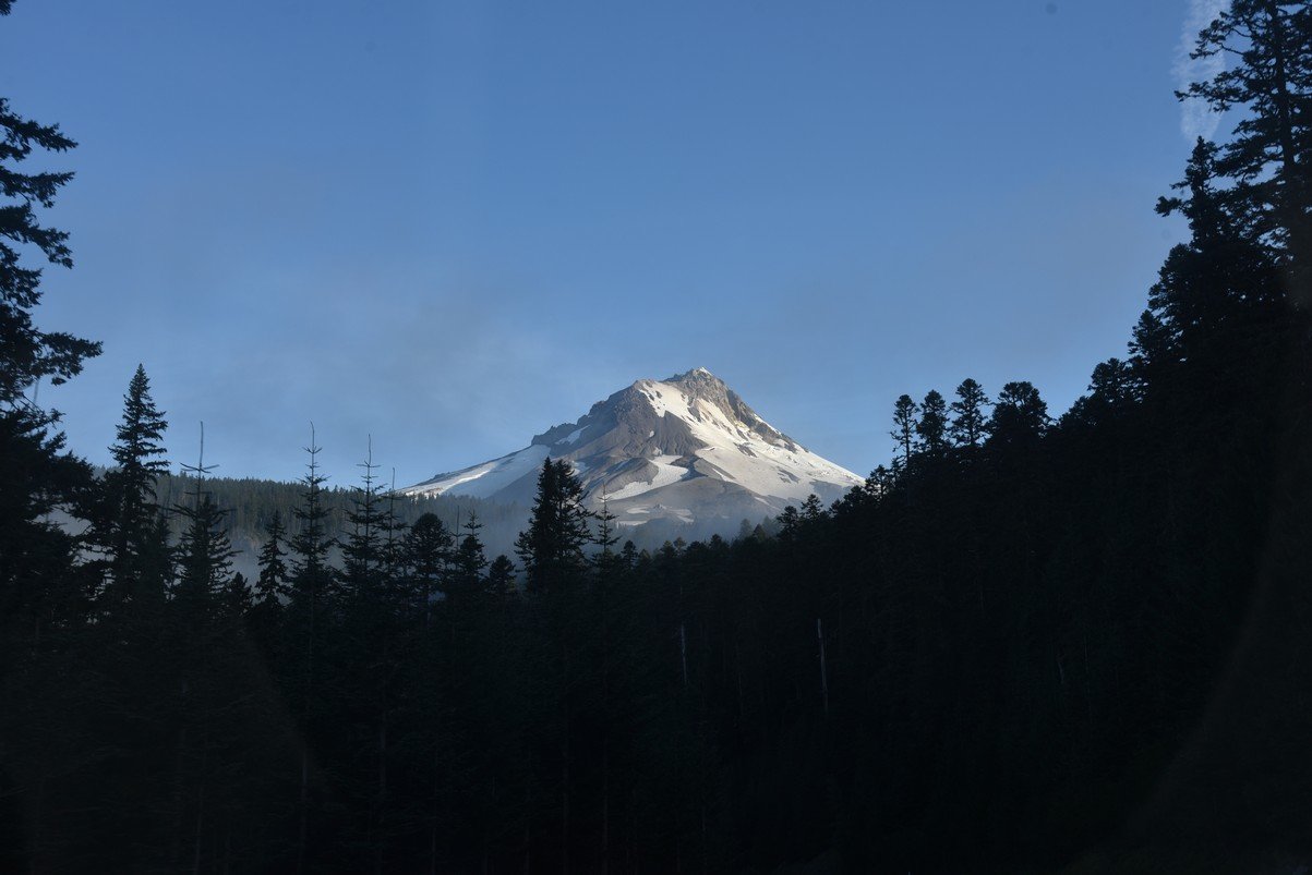 dsc_3328_fs.jpg