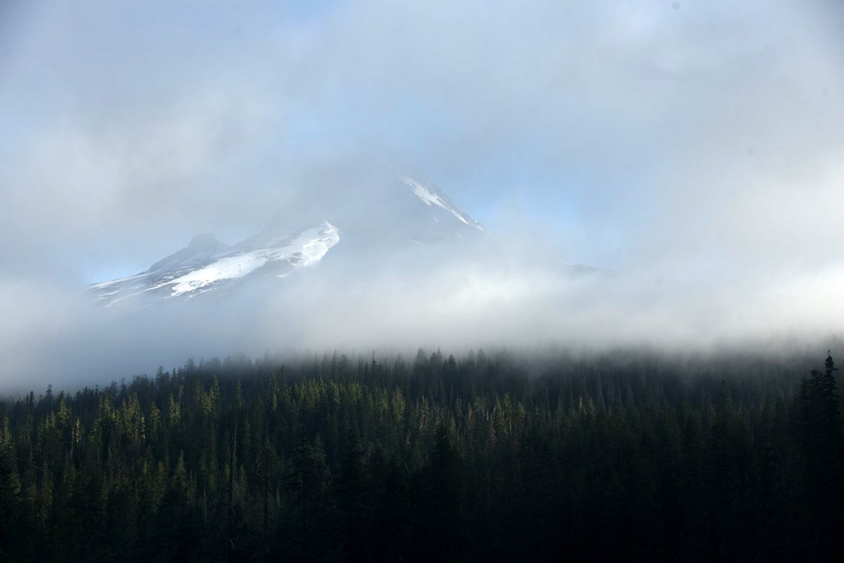 dsc_3356_fs.jpg