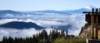 dsc_3371_fs_small.jpg