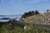 dsc_3377_fs_small.jpg