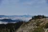 dsc_3397_fs_small.jpg