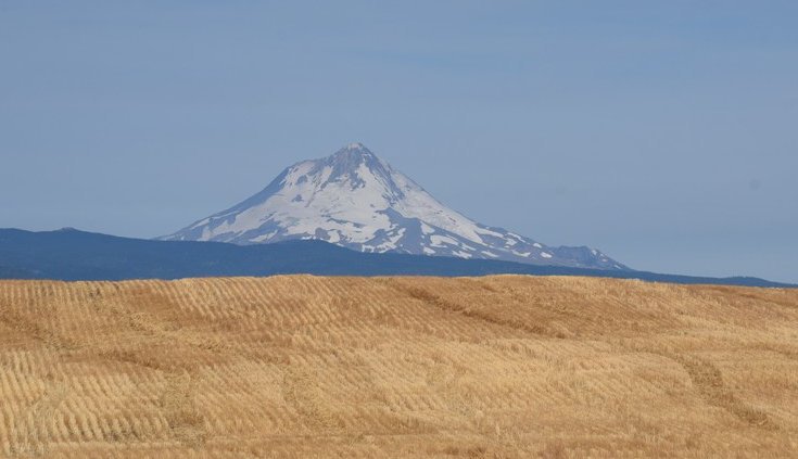 dsc_3424_fs.jpg
