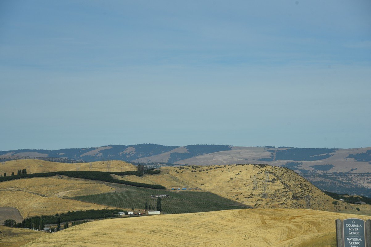 dsc_3442_fs.jpg