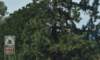 dsc_3479_fs_small.jpg