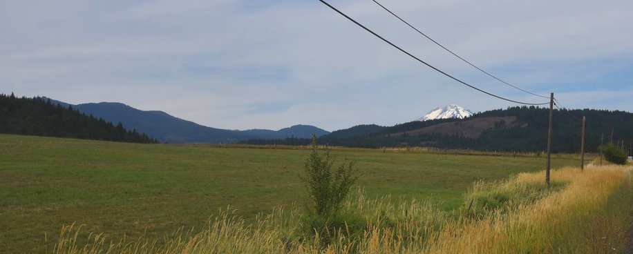 dsc_3509_fs.jpg