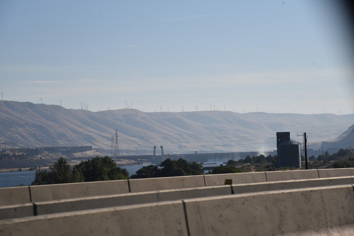 dsc_3600_fs.jpg