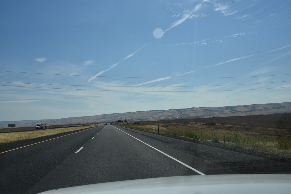 dsc_3678_fs.jpg