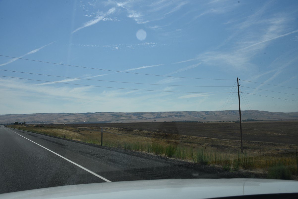 dsc_3679_fs.jpg