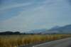 dsc_3768_fs_small.jpg