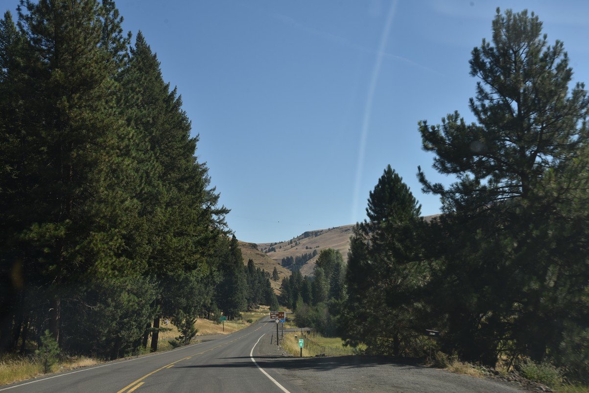 dsc_3804_fs.jpg