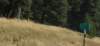 dsc_3807_fs_small.jpg