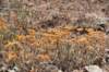 dsc_3846_fs_small.jpg