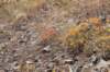dsc_3847_fs_small.jpg