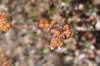dsc_3848_fs_small.jpg