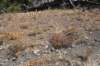 dsc_3849_fs_small.jpg