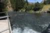 dsc_3864_fs_small.jpg