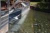 dsc_3867_fs_small.jpg