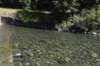 dsc_3868_fs_small.jpg