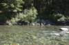 dsc_3869_fs_small.jpg
