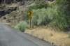 dsc_3939_fs_small.jpg