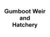 gumbootweirandhatchery_small.jpg
