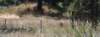 dsc_3989_fs_small.jpg