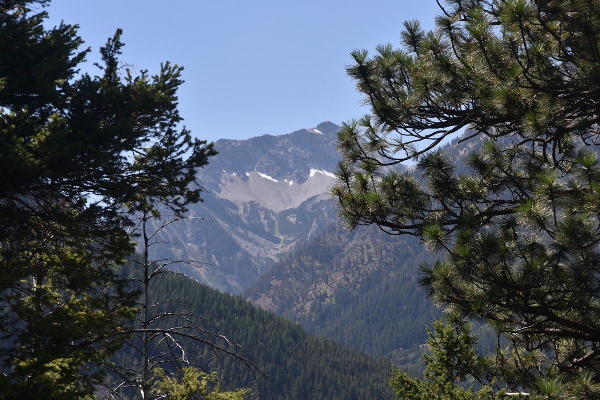 dsc_4011_fs.jpg