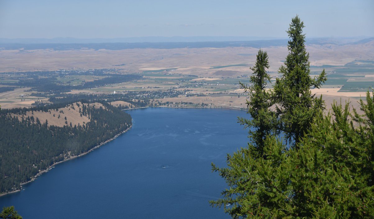 dsc_4019_fs.jpg