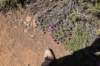 dsc_4039_fs_small.jpg