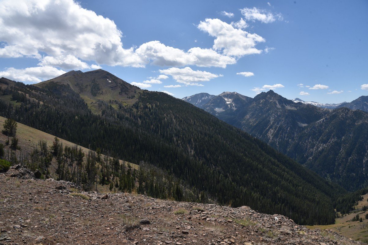 dsc_4082_fs.jpg